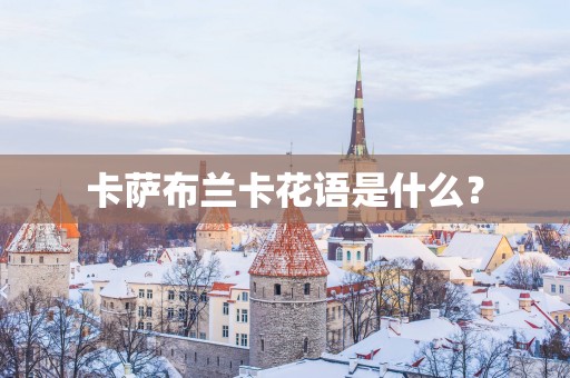 卡萨布兰卡花语是什么？