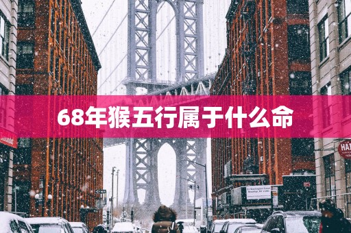 68年猴五行属于什么命