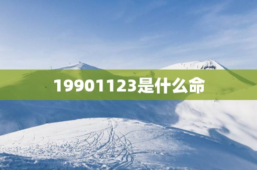 19901123是什么命