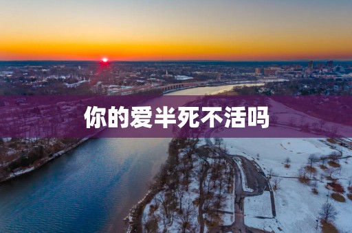 你的爱半死不活吗
