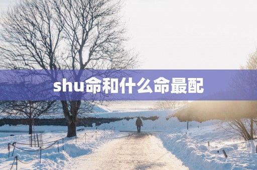 shu命和什么命最配