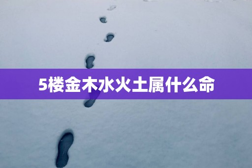5楼金木水火土属什么命