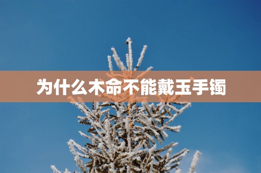 为什么木命不能戴玉手镯