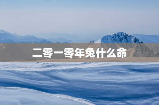 二零一零年兔什么命