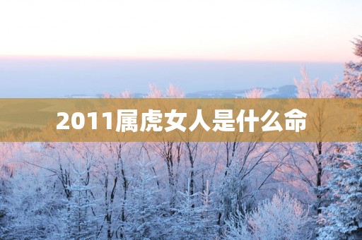 2011属虎女人是什么命