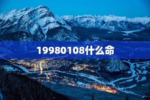 19980108什么命