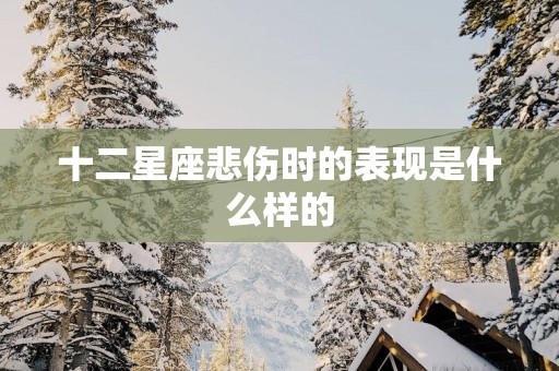 十二星座悲伤时的表现是什么样的