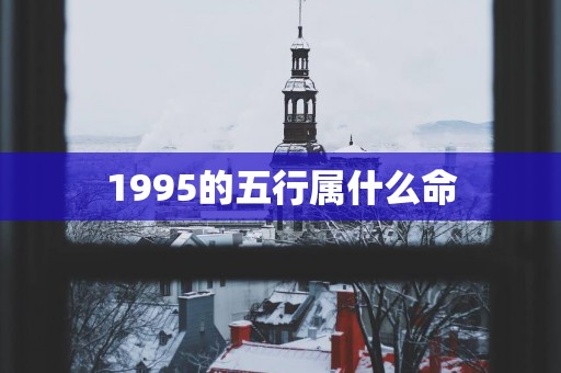 1995的五行属什么命