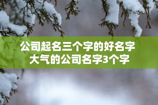 公司起名三个字的好名字 大气的公司名字3个字