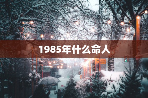 1985年什么命人