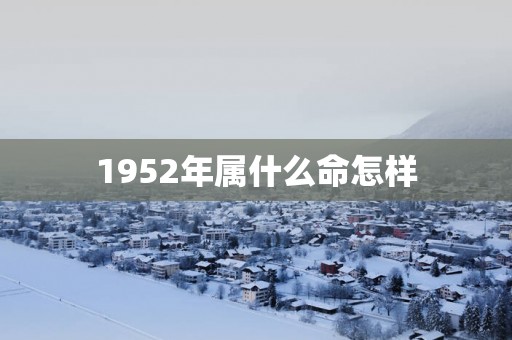 1952年属什么命怎样