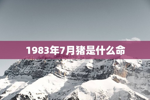 1983年7月猪是什么命