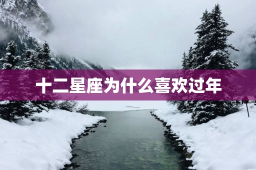 十二星座为什么喜欢过年