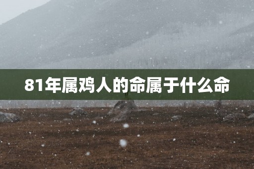 81年属鸡人的命属于什么命