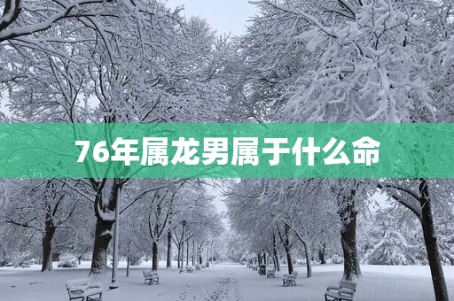 76年属龙男属于什么命