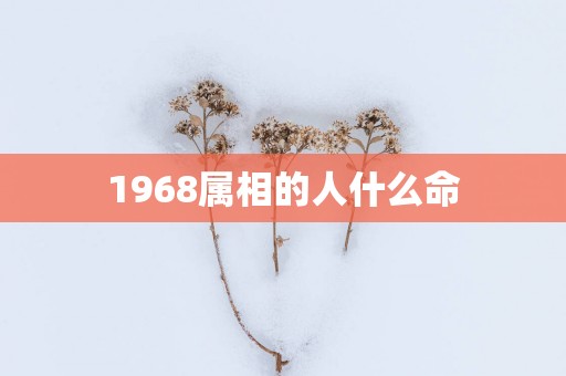 1968属相的人什么命