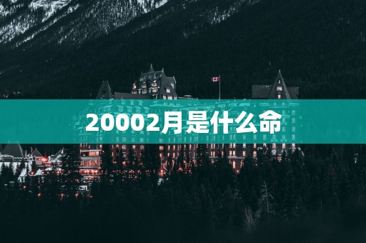 20002月是什么命