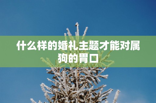 什么样的婚礼主题才能对属狗的胃口