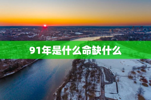 91年是什么命缺什么