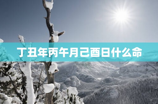 丁丑年丙午月己酉日什么命