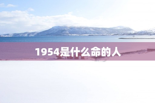 1954是什么命的人