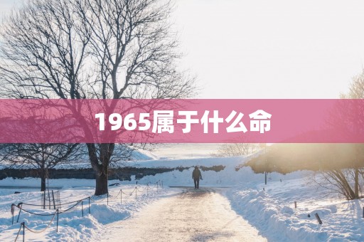 1965属于什么命