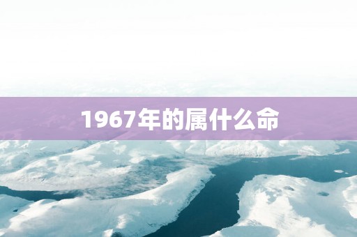 1967年的属什么命