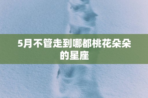 5月不管走到哪都桃花朵朵的星座