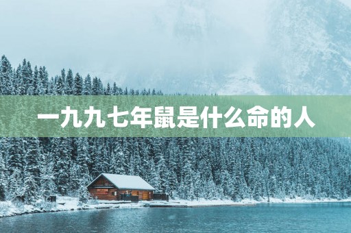 一九九七年鼠是什么命的人