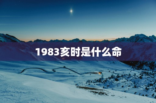 1983亥时是什么命