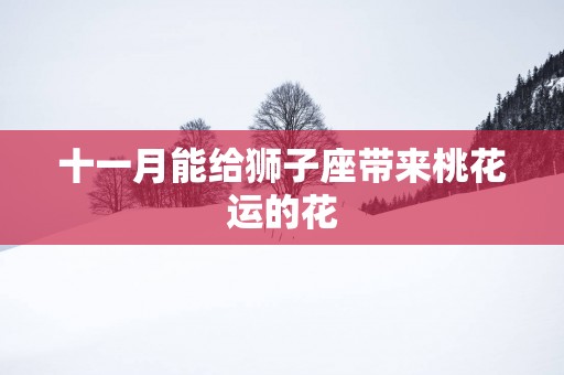 十一月能给狮子座带来桃花运的花