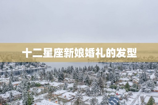 十二星座新娘婚礼的发型