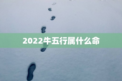 2025牛五行属什么命