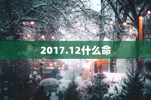 2017.12什么命
