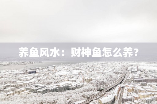 养鱼风水：财神鱼怎么养？