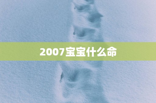 2007宝宝什么命