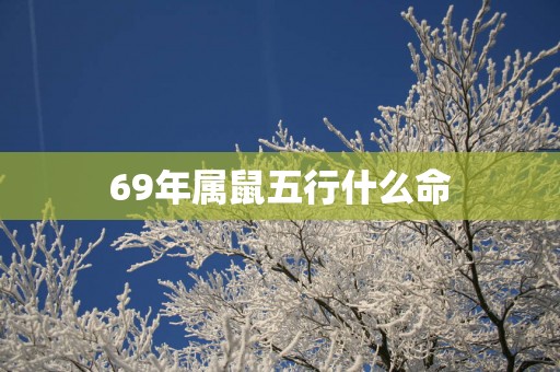 69年属鼠五行什么命