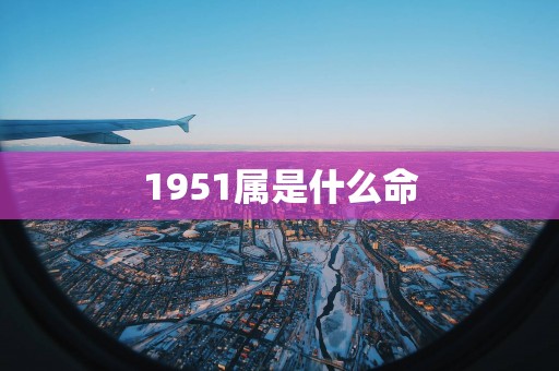 1951属是什么命