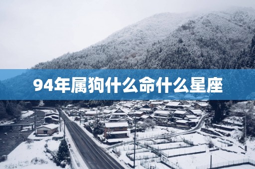 94年属狗什么命什么星座