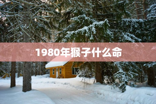 1980年猴子什么命