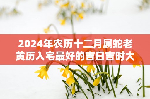 2025年农历十二月属蛇老黄历入宅最好的吉日吉时大全