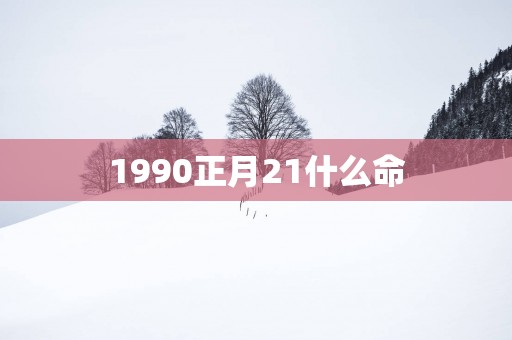 1990正月21什么命