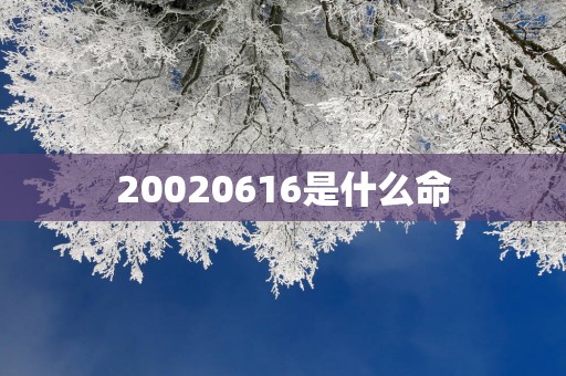 20020616是什么命