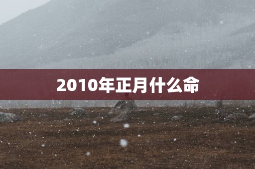 2010年正月什么命