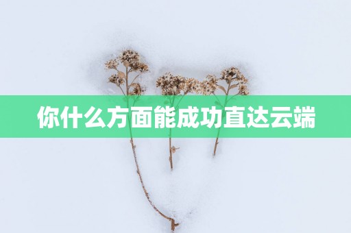 你什么方面能成功直达云端