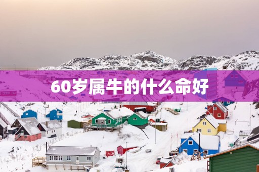 60岁属牛的什么命好