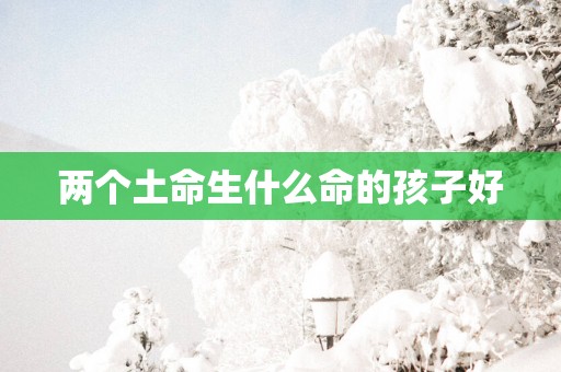两个土命生什么命的孩子好