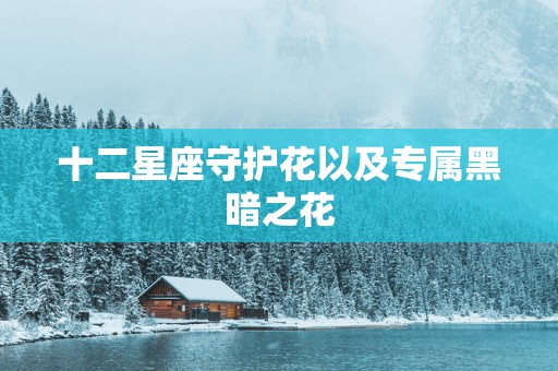 十二星座守护花以及专属黑暗之花
