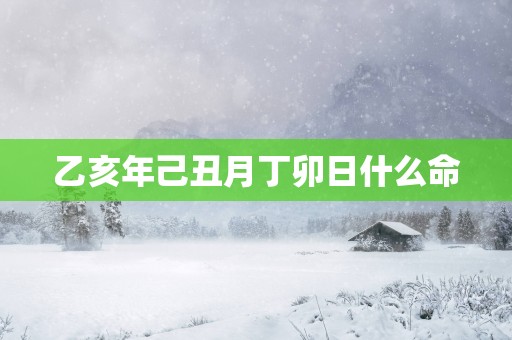 乙亥年己丑月丁卯日什么命