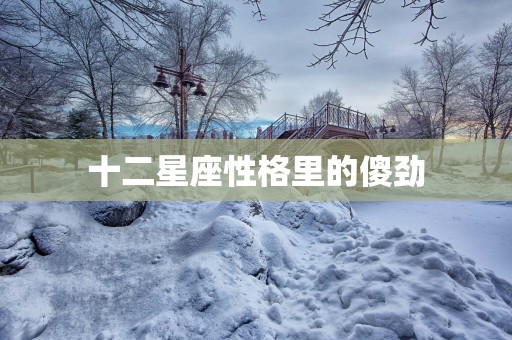十二星座性格里的傻劲
